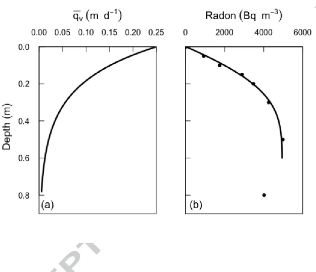 Figure 3. (a) Mean vertical water velocity (upward or downward), as a function of  depth, and resulting radon concentration profile for     = 10 -5  d (0.86 s) for Pz1