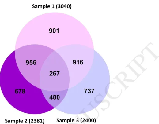 Fig.  1.  Venn  diagram  for  the  number  of  differentially  expressed  Sistan  grape cluster genes in three steps of cluster development (Sample 1, Sample  2 and  Sample  3)