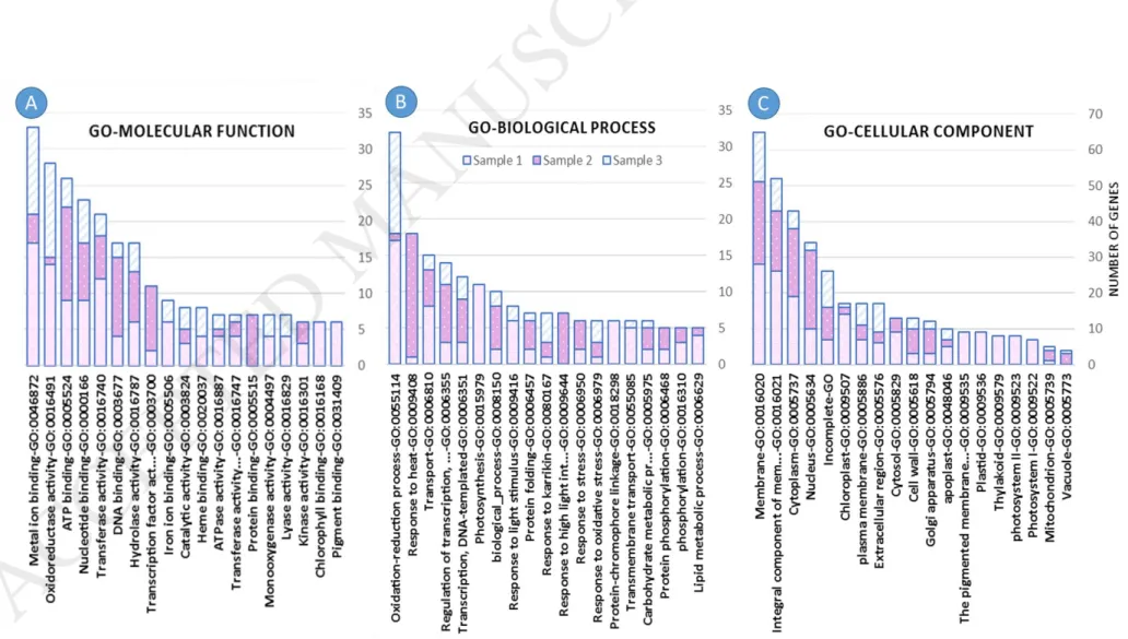 Fig. 2. Gene Ontology analysis of up-regulated genes in the cluster development process of Yaghooti grape