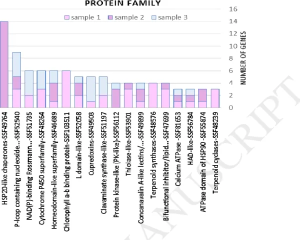 Fig. 3. The Protein Families related to up-regulated genes in the cluster development process of  Yaghooti  grape