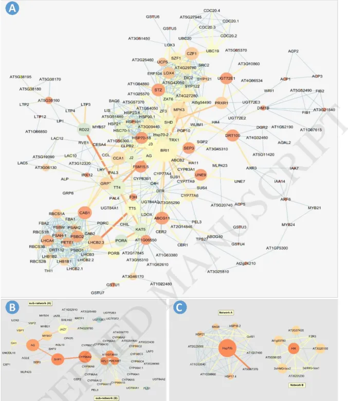 Fig.  4.  Co-expression  network  of  differential  expressed  in  the  clusters  of  Yaghooti  grape  during  development  and  growing  process