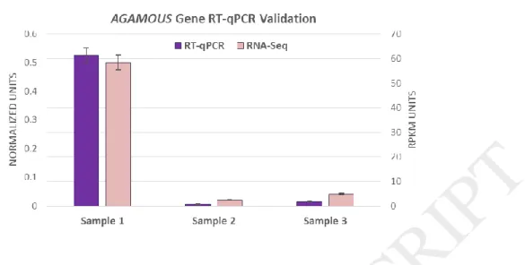Fig.  6.  Quantitative  RT-PCR  validation  of  differential  Gene  expression  observed  for  AGAMOUS  gene