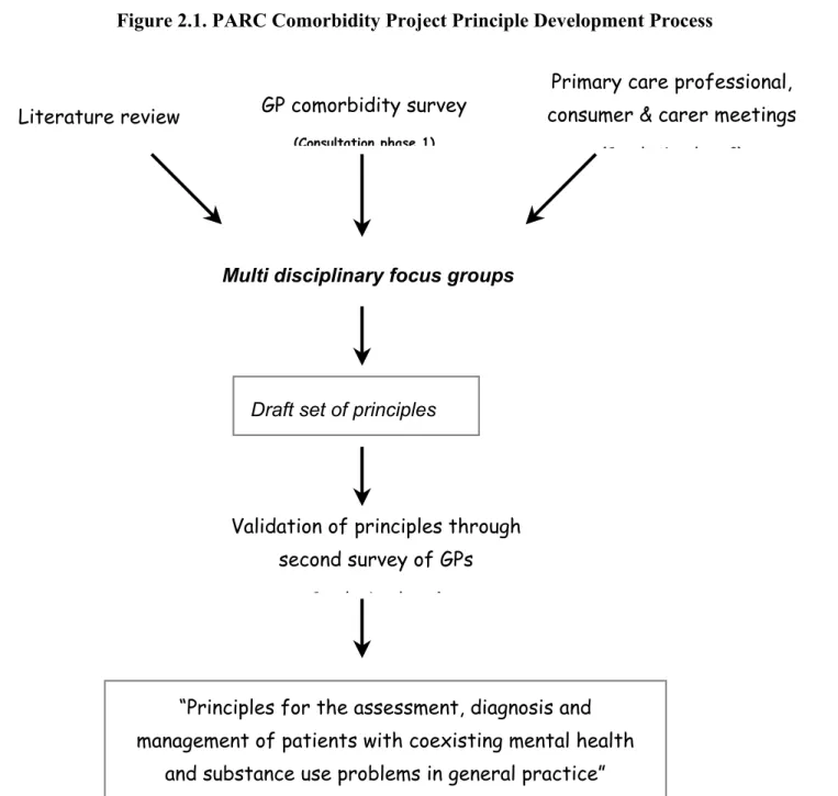 Figure 2.1. PARC Comorbidity Project Principle Development Process 