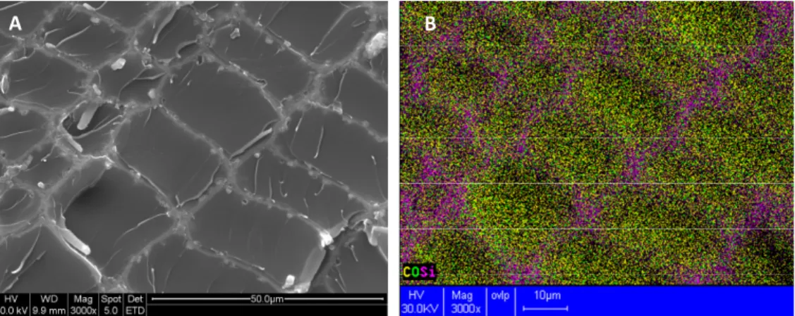 Fig. 4. Scanning electron micrograph of epoxy-silica composite and its C-O-Si-Kα X-ray map at 3000x