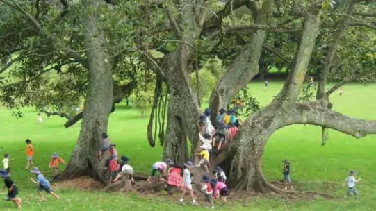 Fig  2.15:  Public  open  space  encourages  recreational  activity  and  conservation of the natural environment.