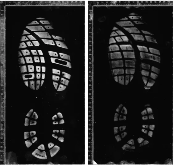 Figure 2.1: Original images from our dataset.