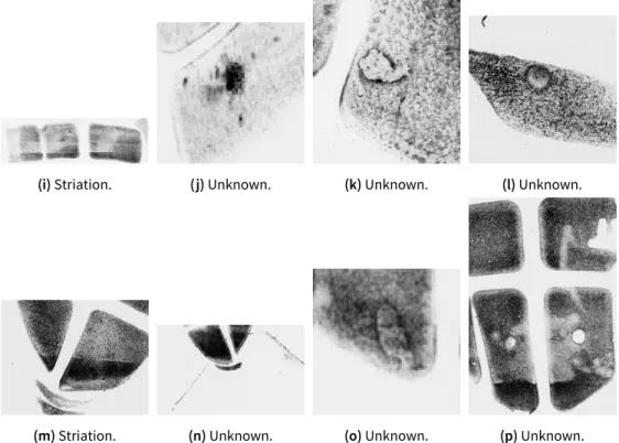 Figure 2.2: Crops of the dataset revealing specific instances of the issues detailed in Table 2.1.