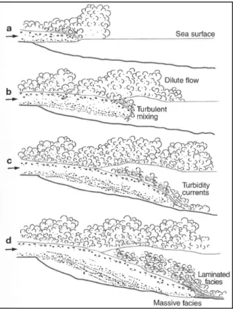 Figure  2.5  -  Sketch  of  the  emplacement  process  of  pyroclastic  flows  transitioning  into  the  sea  and  into  turbidity  currents (Mandeville et al., 1996)