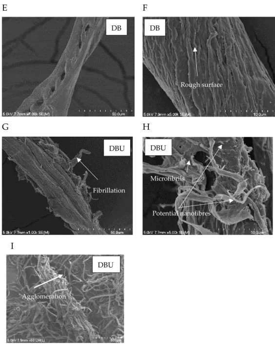 Figure 1: SEM of A and B - digested fibre (D), C and D - digested and ultrasonic treated fibre (DU),  282 E and F - digested and bleached fibre (DB), and G, H and I - digested bleached and ultrasonic treated  283