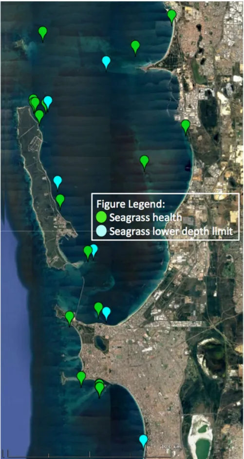 Figure 7.   Location of seagrass health monitoring sites. 