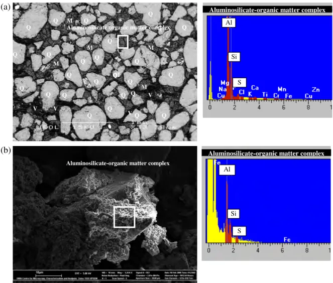 Figure 6 (a) SEM backscattered electron image and x-ray spectrum of a thin section from  coffee rock (9.0-1.0 m) site 616-01-05 (N.B