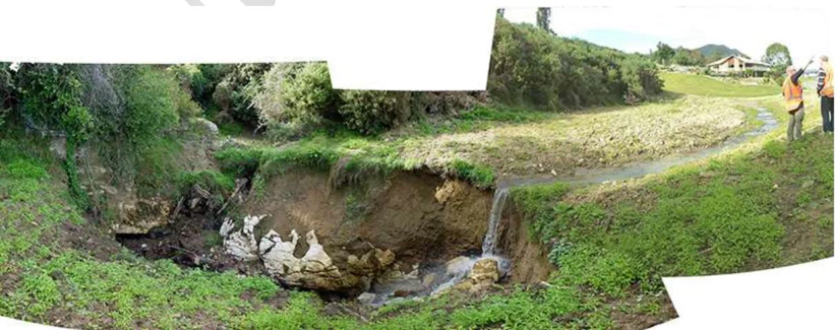 Figure 17 Sinkhole in Pohara, Golden Bay draining a waterway from a residential subdivision (Photo: G.Stevens)