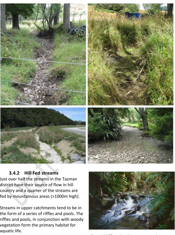 Figure 18 Intermittent Streams in Tasman 