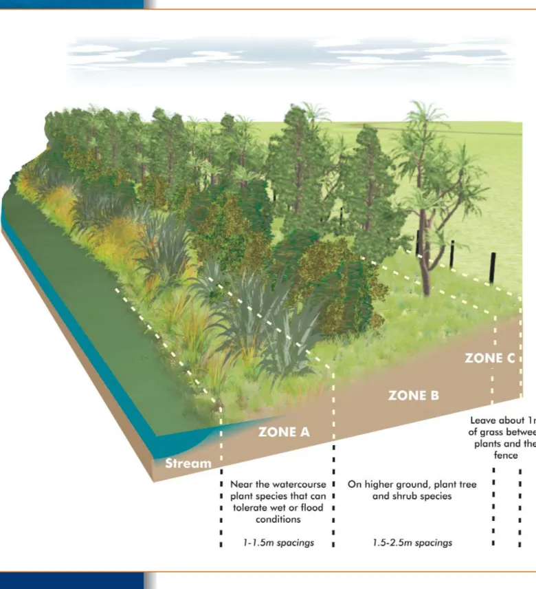 Figure 6: Waterway margin planting zones