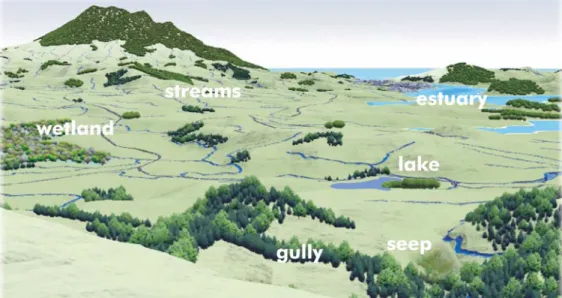 Figure 1 shows an example of a farming catchment with the various waterways in it. 
