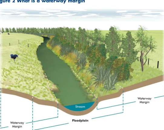 Figure 2 What is a waterway margin