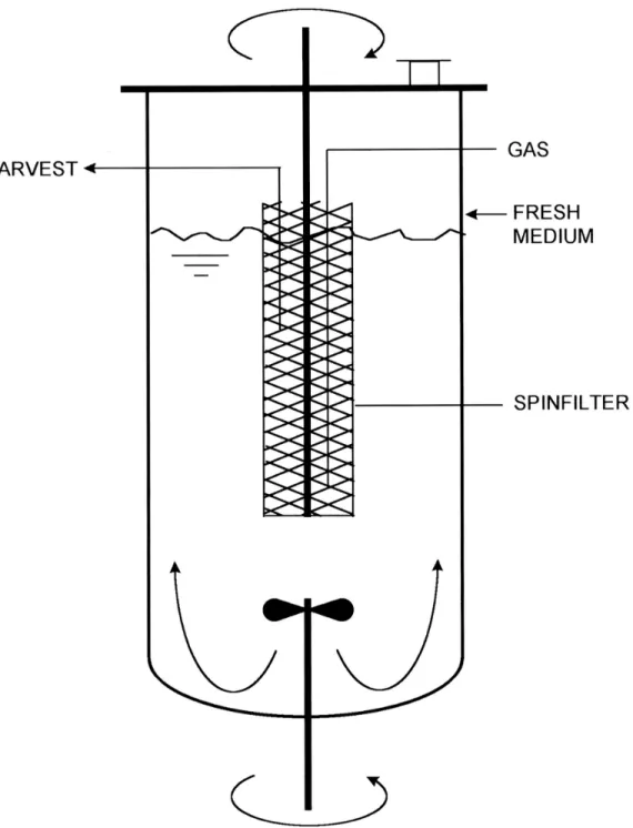 FIGURE 5. Perfusion culture with spinfilter for hydrodynamics-based cell retention in bioreactors.