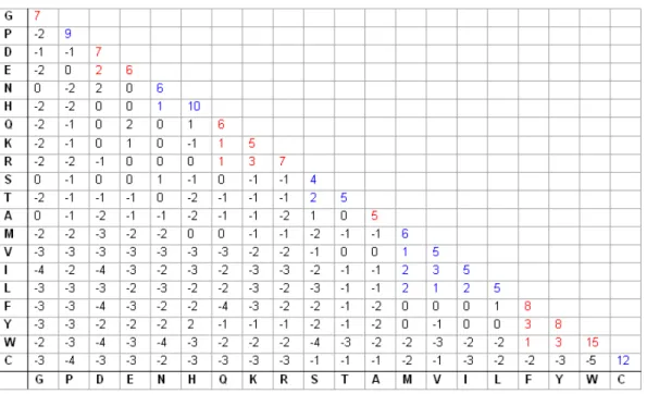 Figure 6: The Blosum 45 score matrix. The matrix is symmetric as s(a, b) = s(b, a).