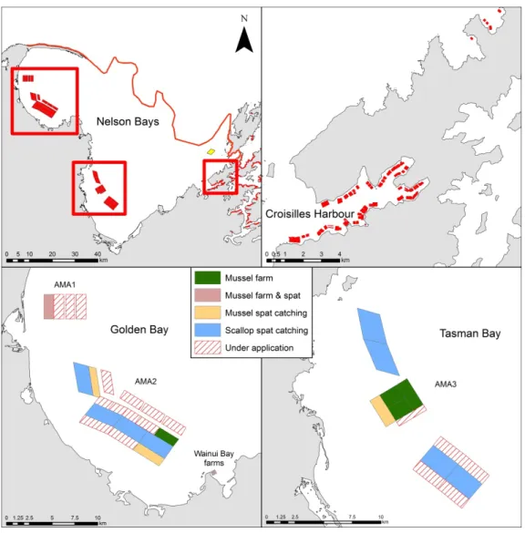 Figure 6.  Location of aquaculture activities within Tasman Bay and Golden Bay. Red polygons  show areas consented for aquaculture activities