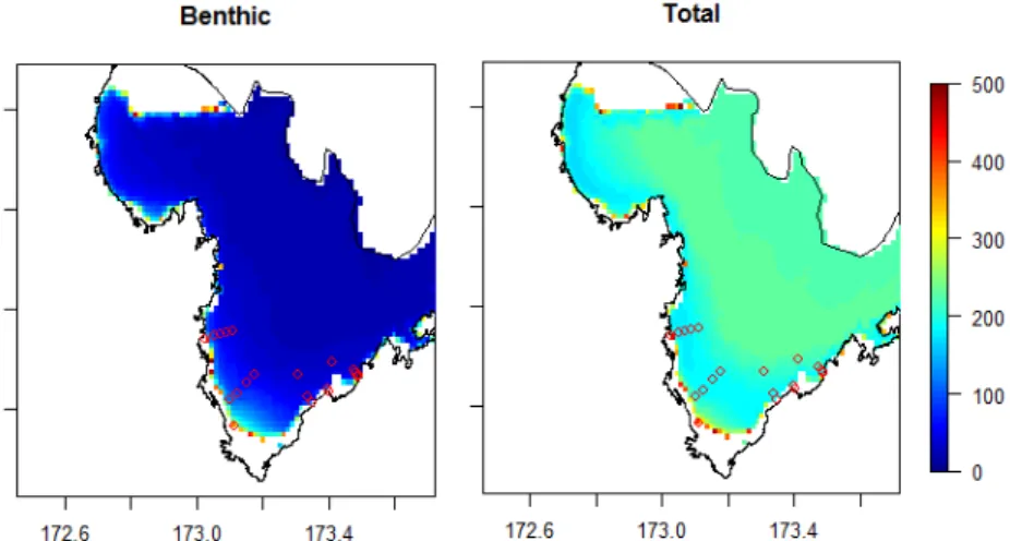 Figure 15.  Spatial distribution of estimated benthic and total primary production in Tasman Bay and  Golden Bay (averaged using light intensities extracted for 2009-2012 from the MODIS  dataset)