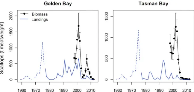 Figure 21.   Mean biomass estimates of scallops ≥ 90 mm (black, error bars = CV), and landings in  Tasman Bay and Golden Bay (blue)