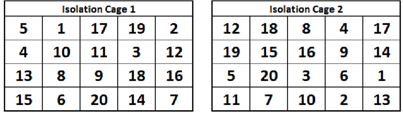 Figure 3.1  Polycross isolation cage layout. Numbers represent individual genotypes. 