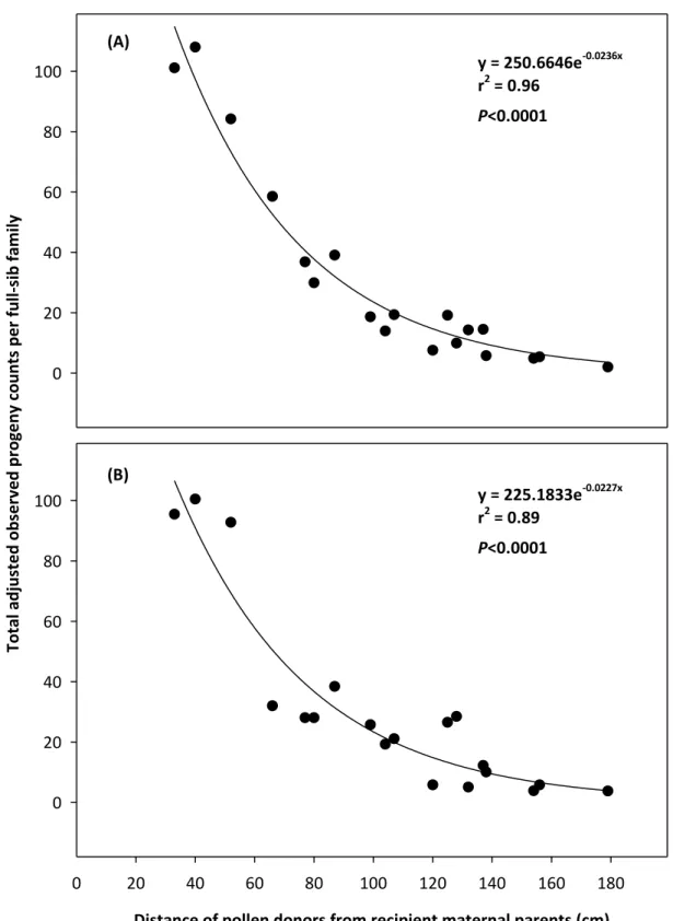 Figure 3.6  Total observed outcross progeny counts per white clover full-sib family  distance plotted against distance of pollen donors from recipient maternal  parents in isolation cage 1 (A) and cage 2 (B)