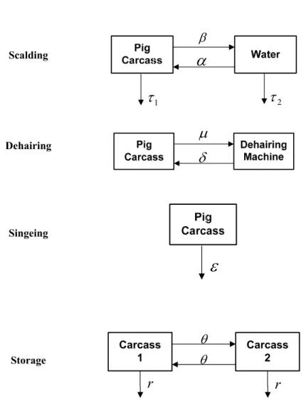 Figure 3.3: Composite diagrams of the pig abattoir modules described by differential equations.