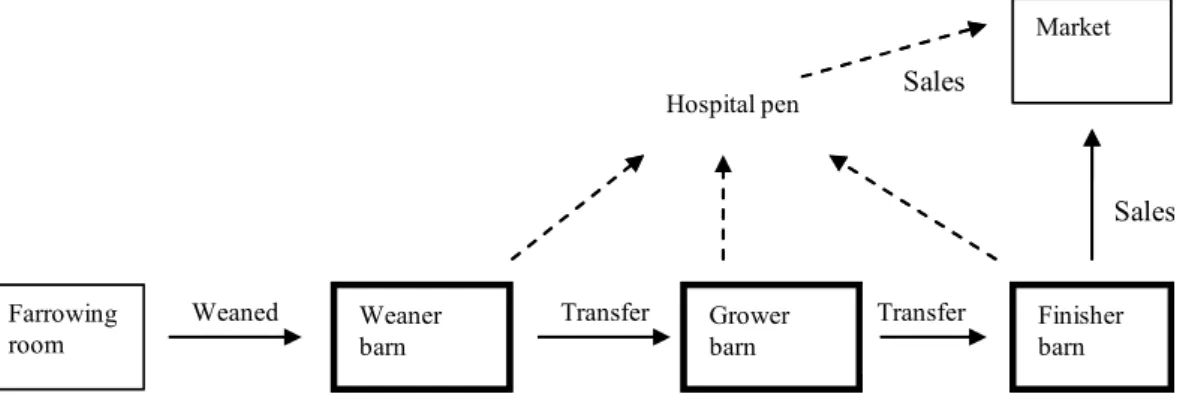 Figure 2.1. Characteristics of a three-stage growing herd production system on a typical  New Zealand pig farm