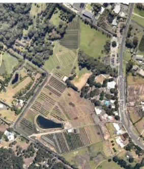 Figure 2: Aerial photo of orchards cleared on  part of northern site 30 November 2014 