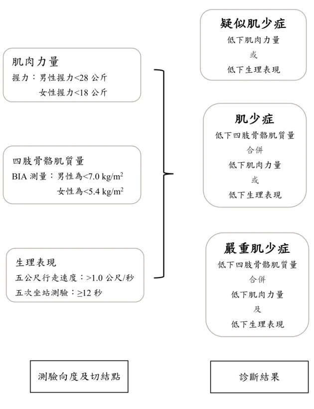 圖   3-3-9  診斷肌少症之示意圖