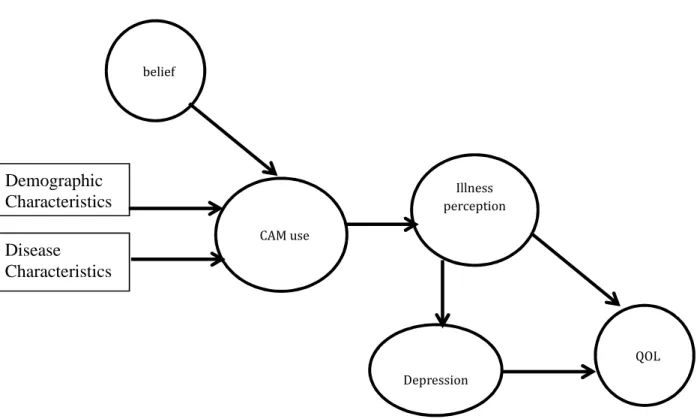 Figure 2-1 Conceptual Framework 
