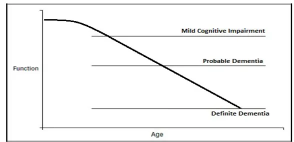Figure 1.3  Theoretical progression of a person developing dementia. (Modified  from Petersen, 2001) 