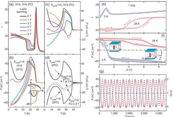 Figure 15. (Color online) Multiferroic behaviors of TbMn 2 O 5 . (a)–(d) The temperature and magnetic field (along the a-axis) dependences of dielectric and ferroelectric properties: (a) the dielectric constant along the b-axis measured in the warming run 