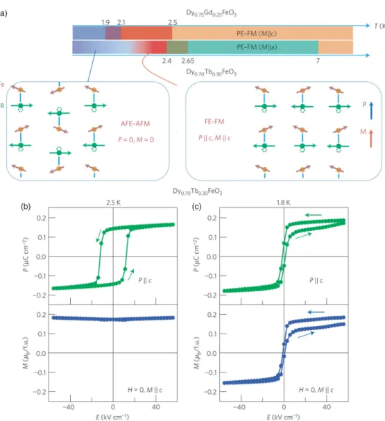 Figure 18. (Color online) A summary of results on the electric field control of canted magnetic moments in RFeO 3 (R = Dy 0.75 Gd 0.25 and Dy 0.7 Tb 0.3 )