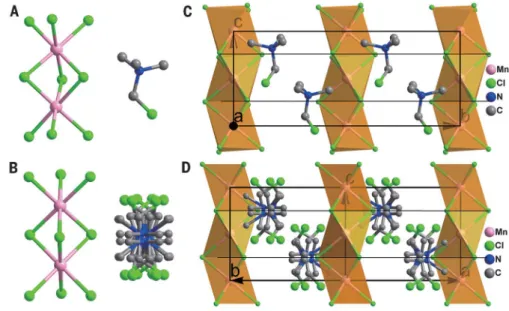 Fig. 1. Thermal variation of crystal structures of TMCM-MnCl 3 . (A) Structural unit of TMCM- TMCM-MnCl 3 in the LTP, showing the coordination geometry of the MnCl 6 octahedron and cationic structure