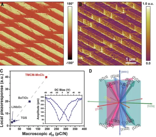 PDF PIEZOELECTRICS An Organic-inorganic Perovskite Ferroelectric With Large