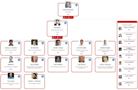 Fig 46. Tesla’s organizational structure. 