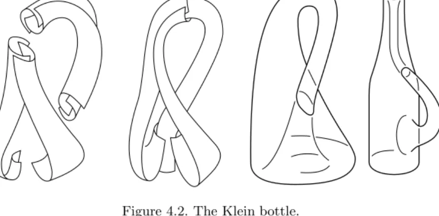 Figure 4.2. The Klein bottle.