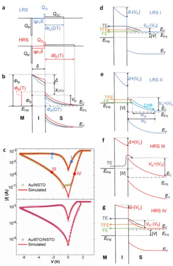 FIG. 8 高低阻态下 (a) 电荷分布和 (b) 势垒示意图。 “T”和 “DT”代指俘获和去俘获。(c) 实验和模拟的 I − V 滞回曲 线。(d, e, f, g)不同电压区可能的输运机制。“TE”、“TFE” 和“FE”分别代指热激发、热–场发射和场发射。注： 陷阱 辅助隧穿未画出。 面质量必须非常高。像南京大学吴迪那样高质量 FTJ 结构且有定量结果的漂亮工作并不多见，它可能是少 数充分展示了 FTJ 中铁电本征特性的工作之一。 本文介绍的这一工作有不少观点与前人相悖，但 无意否定铁电层极化对