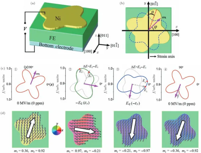 Fig. 5. Phase-ﬁeld simulation approach of electric-ﬁeld driven magnetization reversal assisted by “ﬂower”-shaped patterned magnet [ 58 ] 