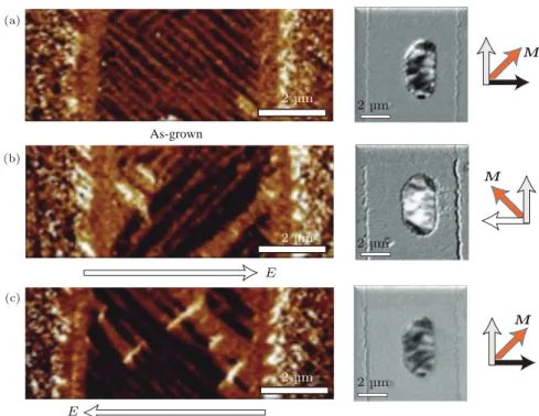Fig. 8. Electric-ﬁeld driven 90 ◦ magnetization rotation in multiferroic heterostructure consisting of CoFe micromagnets on BFO ﬁlm on STO substrate [ 69 ] : (a)–(c) Reversible switching of both ferroelectric polarization in BFO ﬁlm and magnetic states of 