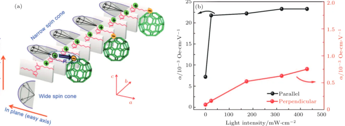 Fig. 4. (a) Spin cone distribution along the long axis (b axis) of the charge-transfer cocrystal superstructures (CTCCs) and the polarization induced by charge ordering and charge-transfer at the interface