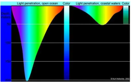 圖 1：不同水域，太陽光深入海水的程度也不相同。 