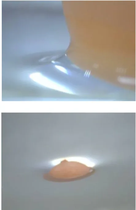 圖 11：用蠟燭燻黑試管管口  0.75 0.80 0.85 0.90 0.95 1.00 1.05 1.100102030405060708090100110120130140150160170180接觸角  接觸角 漂浮浮體和漂浮沉體雖然都浮在水面， 但其接觸面的形貌是不一樣的，如圖13，乒 乓球(漂浮浮體)  與BB彈  (漂浮沉體，密度約 為1.1g/cm 3 )都浮在水面上，仔細觀察後可發 現，乒乓球密度小於水，與水的接觸面為上 凸水面，而BB彈的密度大於水，與水的接觸 面為下凹水面，如同鐵製的細