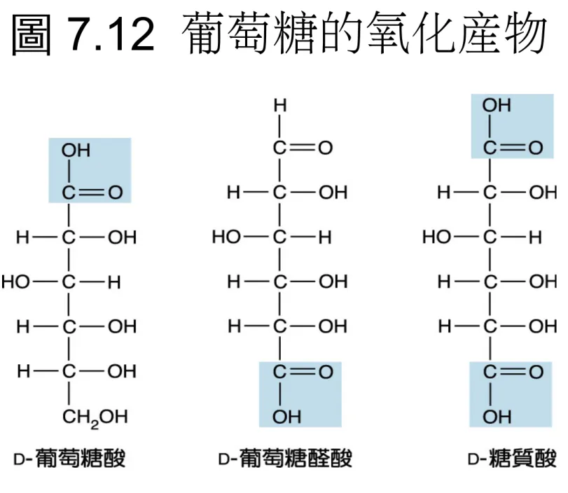 圖 7.12  葡萄糖的氧化產物
