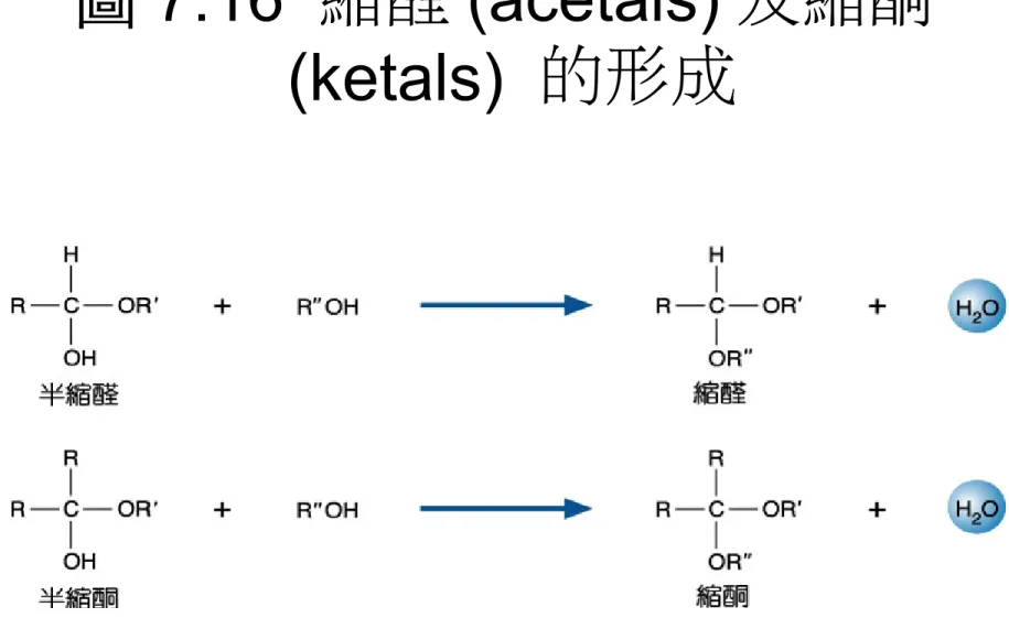 圖 7.16  縮醛 (acetals) 及縮酮 (ketals)  的形成