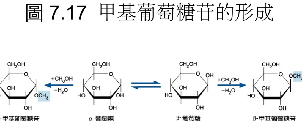 圖 7.17  甲基葡萄糖苷的形成