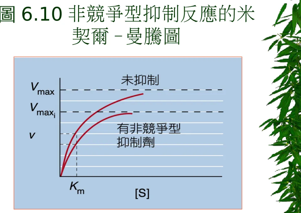 圖 6.10 非競爭型抑制反應的米 契爾 -曼騰圖