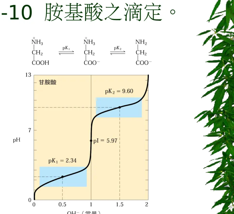 圖  3-10  胺基酸之滴定。